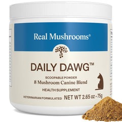 Real Mushrooms ensemble chien poudre – soutien quotidien et énergie équilibrée