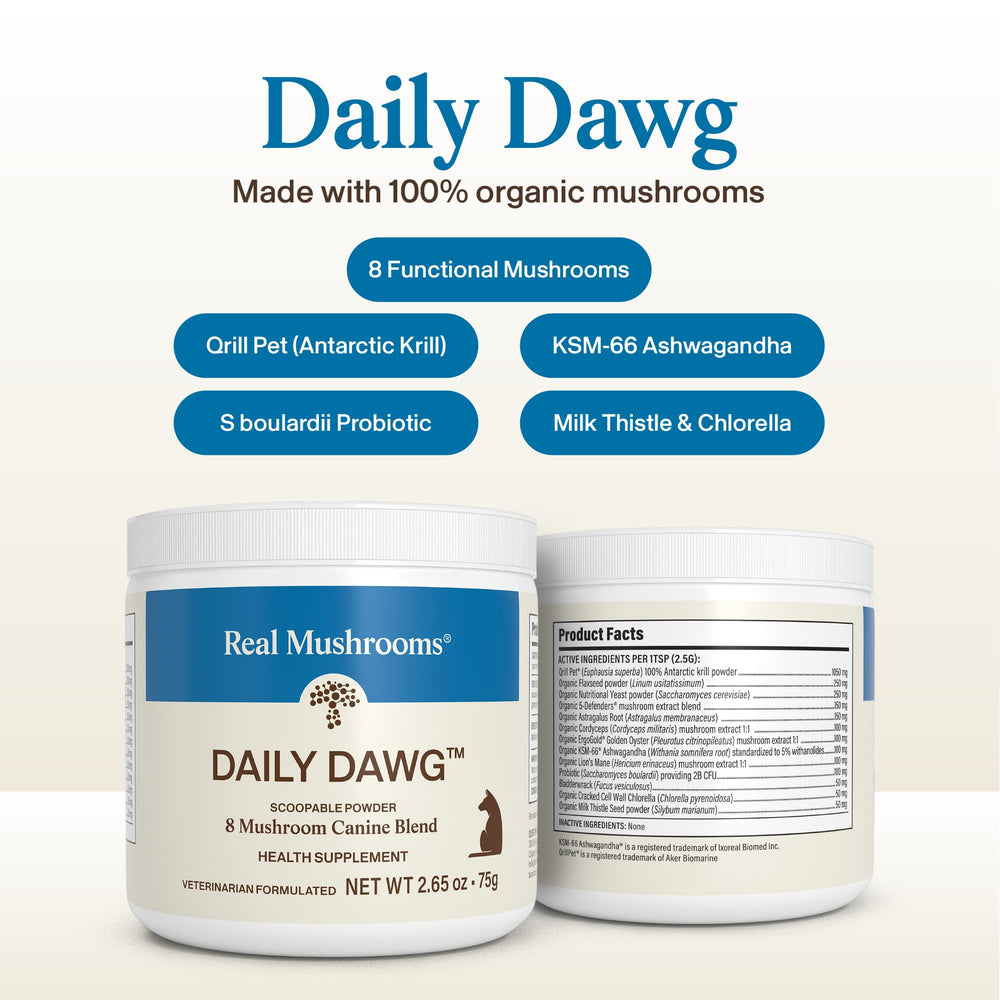 Real Mushrooms cordyceps poudre chien – soutien endurance et énergie durable