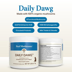 Real Mushrooms cordyceps poudre chien – soutien endurance et énergie durable