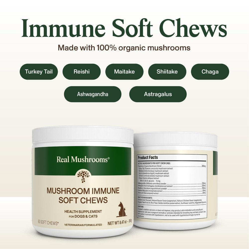 Real Mushrooms - Dosage par poids chien-chat, facilité d'utilisation quotidienne.