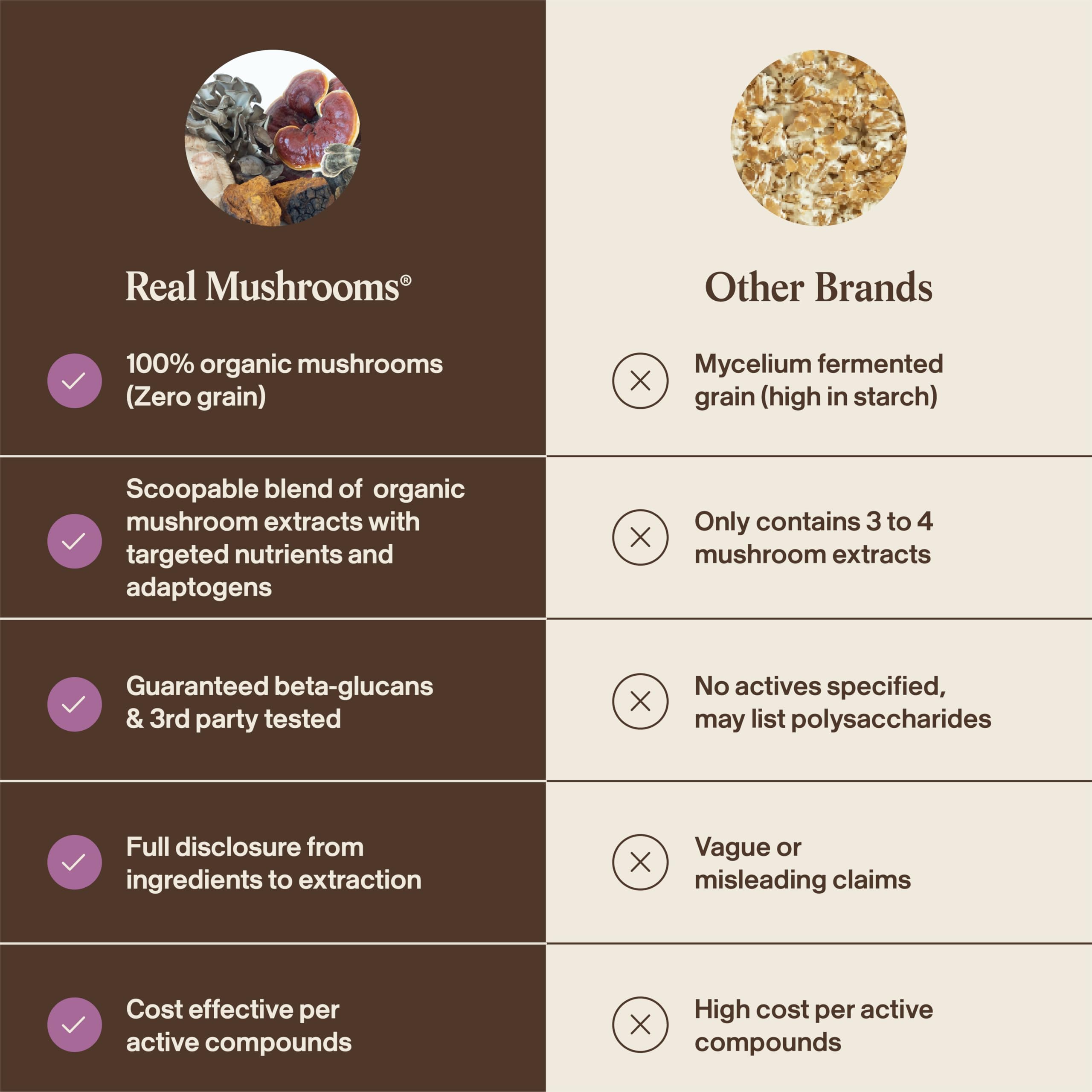 Real Mushrooms: dosage quotidien 1/4 cuillère dans la nourriture deux fois par jour.