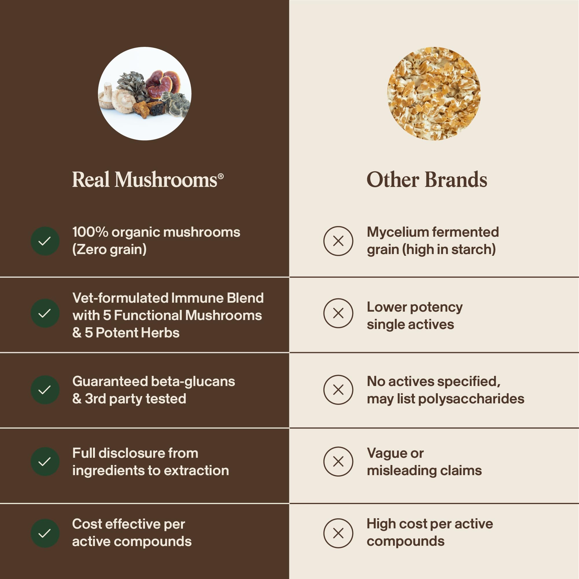 Real Mushrooms - Extraits fruits du corps fructifiant pour une supplémentation claire.