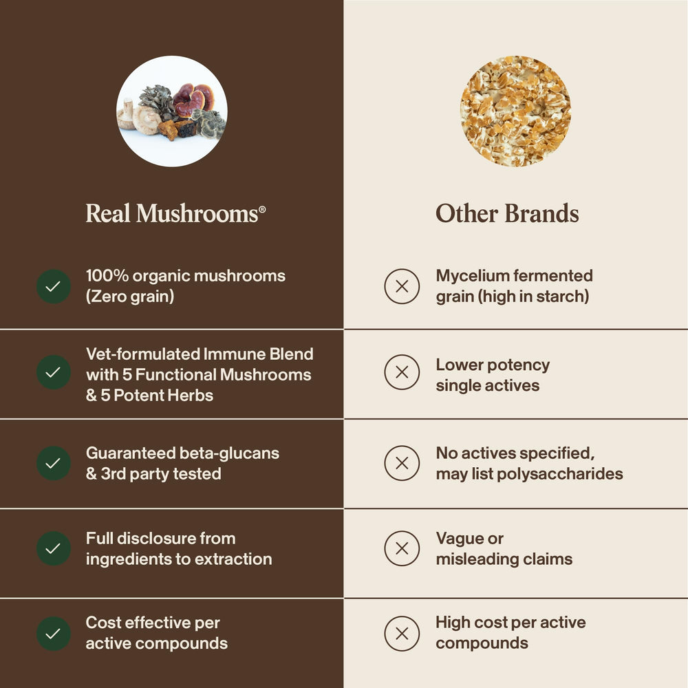 Real Mushrooms - Extraits fruits du corps fructifiant pour une supplémentation claire.