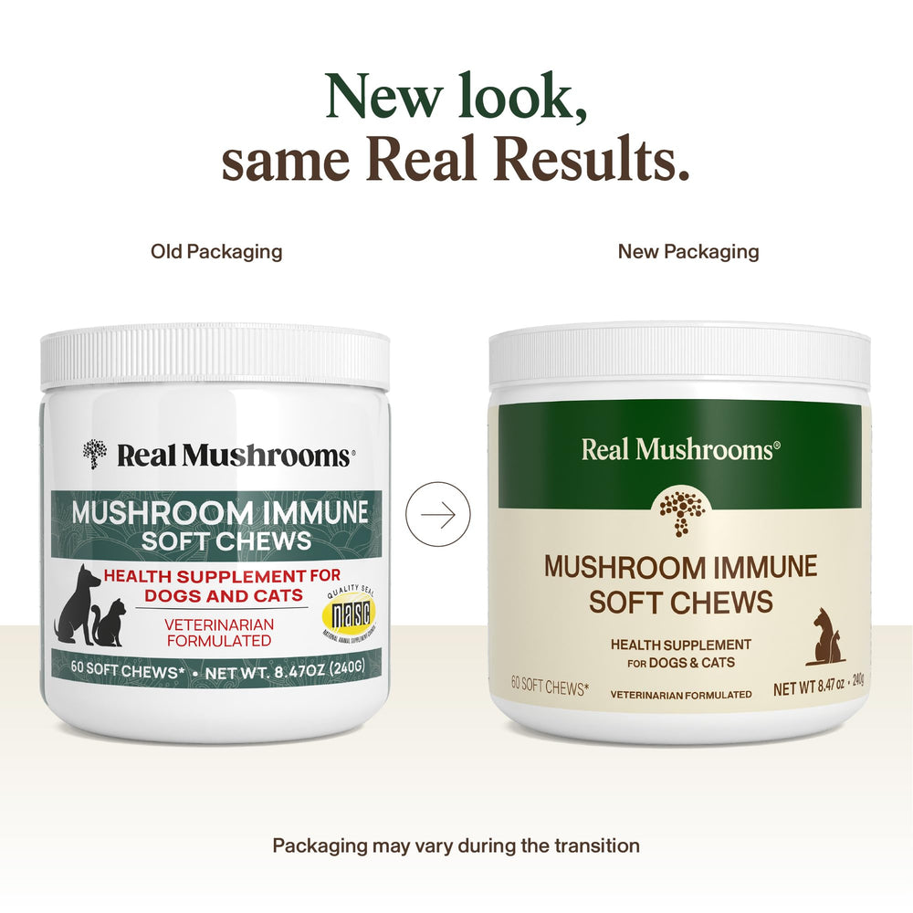 Real Mushrooms - Ingrédients naturels: chaga, reishi, maitake et shiitake pour le bien-être.