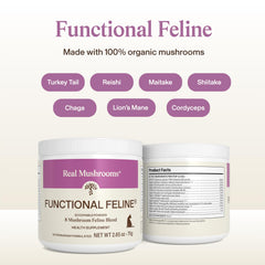 Real Mushrooms: ingrédients Lion’s Mane et Chaga pour soutien mental et confort quotidien.