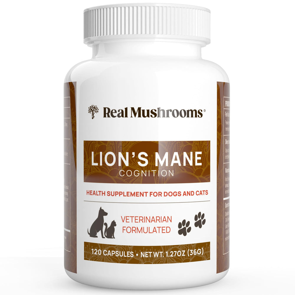 Real Mushrooms Lion’s Mane pour animaux – bouteille de capsules, soutien calme et concentration.
