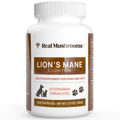 Real Mushrooms Lion’s Mane pour animaux – bouteille de capsules, soutien calme et concentration.