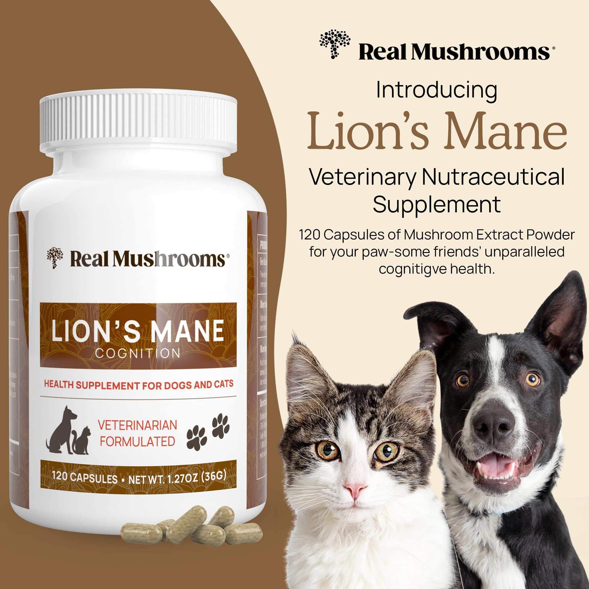 Real Mushrooms Lion’s Mane pour animaux – capsules pratiques pour usage quotidien.