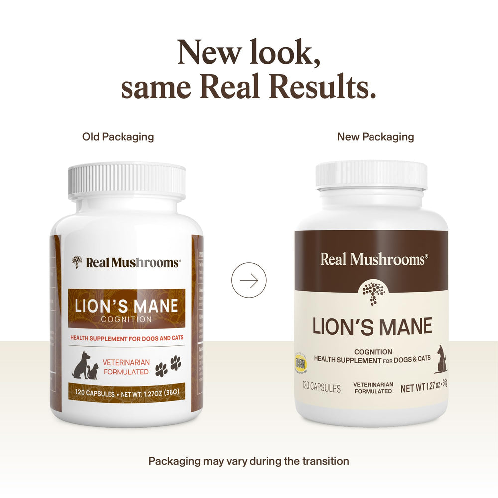 Real Mushrooms Lion’s Mane pour animaux – étiquette claire et conseils d’utilisation.