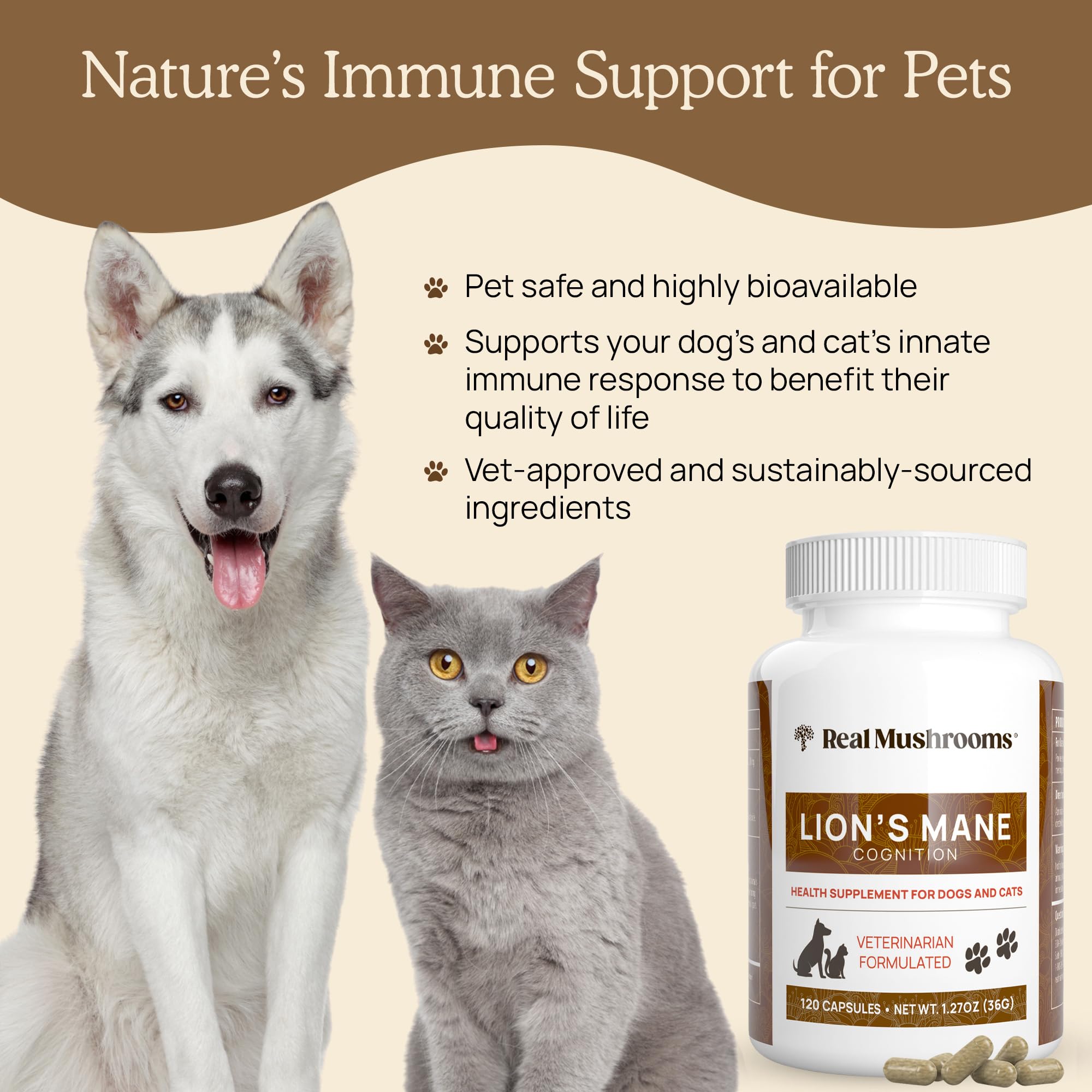 Real Mushrooms Lion’s Mane pour animaux – laboratoire USA et contrôle qualité.