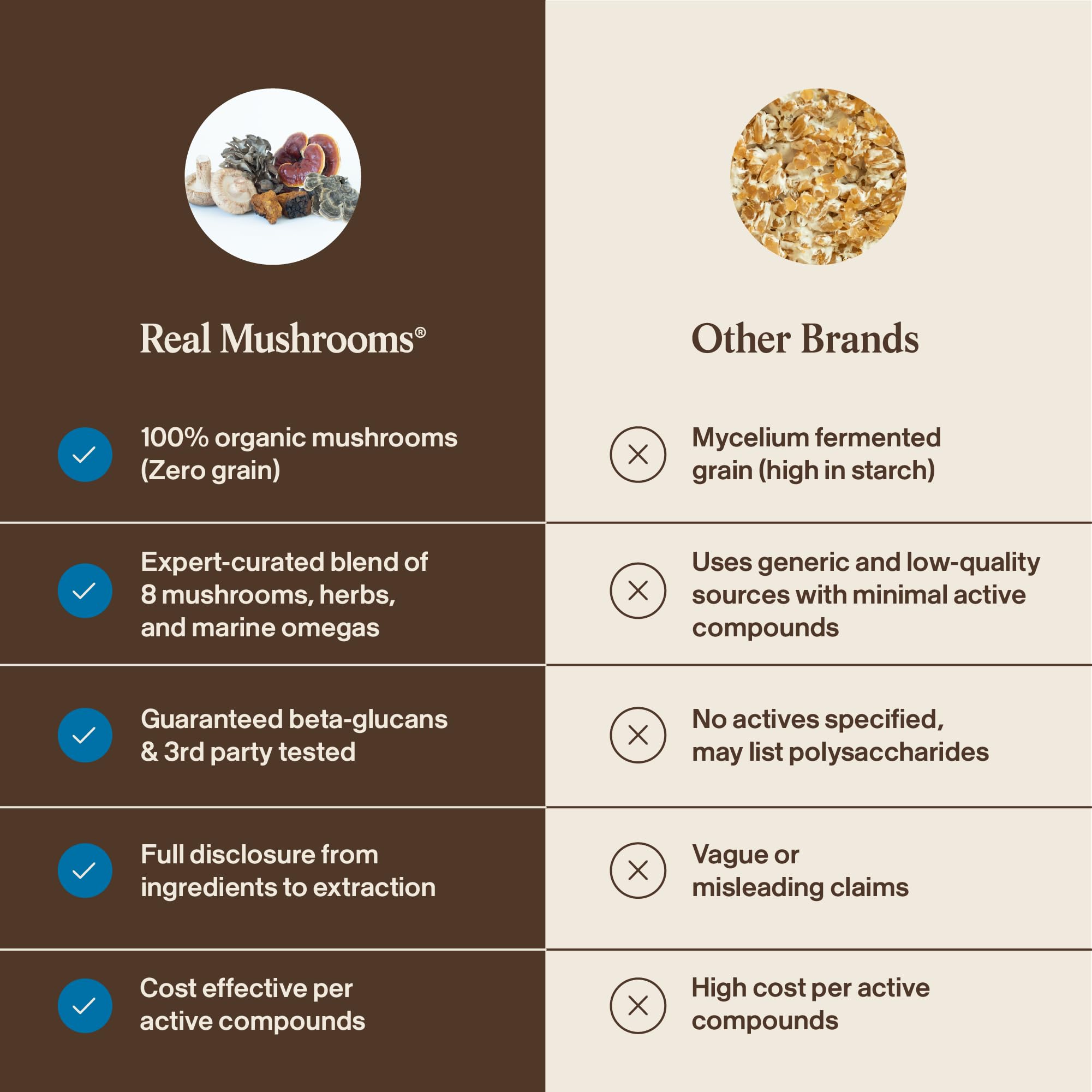 Real Mushrooms maitake poudre chien – appui a lenergie et bien etre quotidien