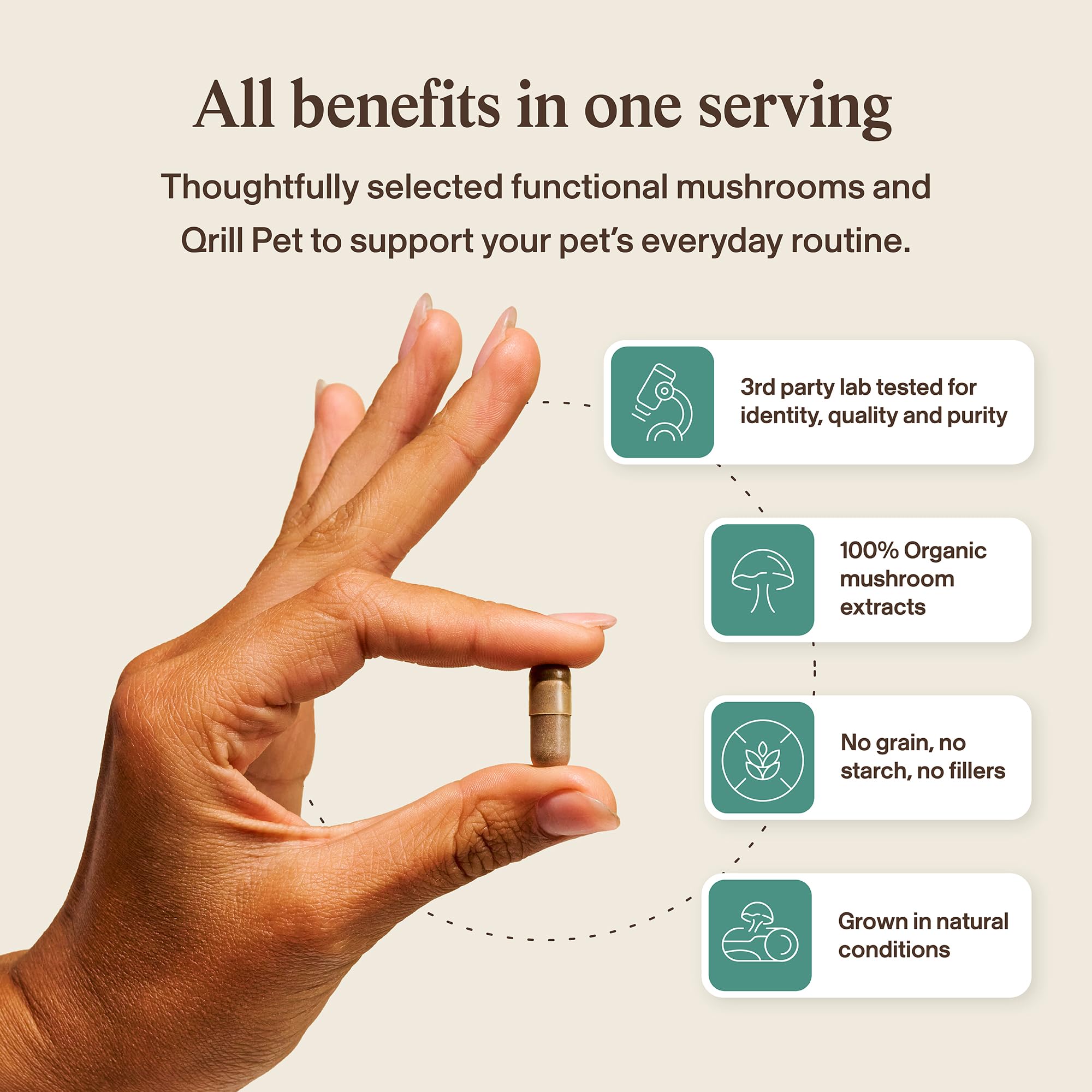 Real Mushrooms Pet Defenders – chaga en poudre, énergie naturelle pour vos compagnons.