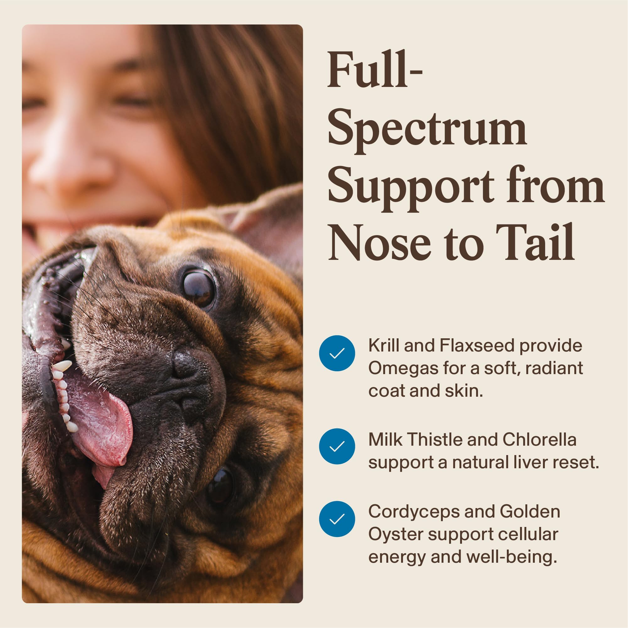 Real Mushrooms reishi poudre chien – detente et soutien digestif discret