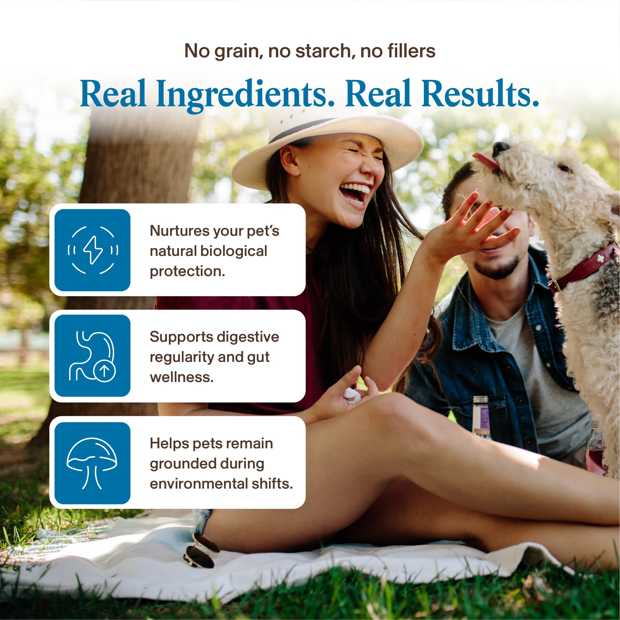 Real Mushrooms tramete versicolore poudre chien – soutien immunitaire naturel et bien etre