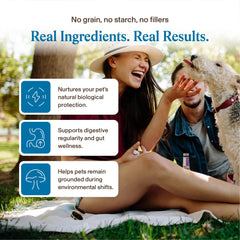 Real Mushrooms tramete versicolore poudre chien – soutien immunitaire naturel et bien etre