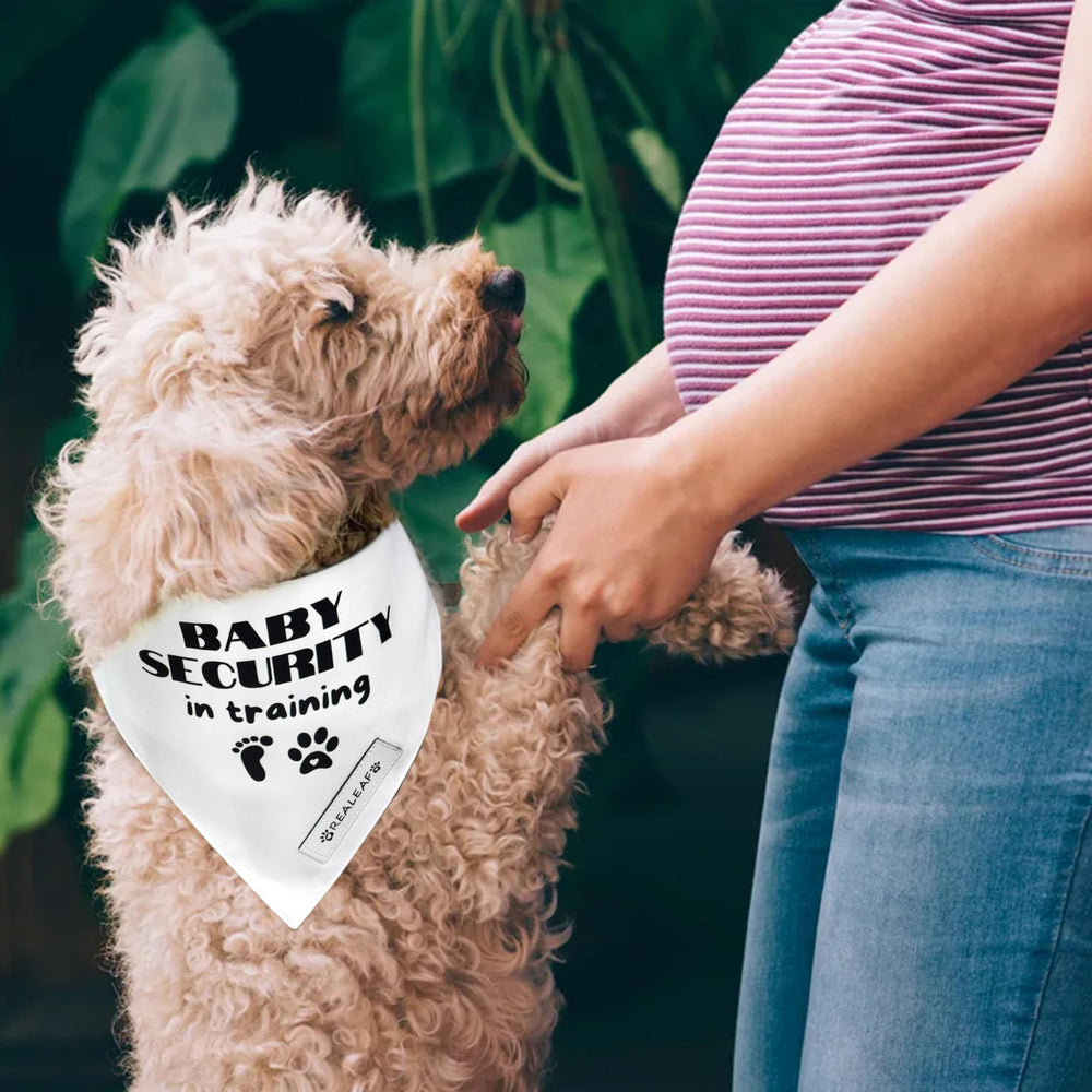 Bandana Realeaf comme accessoire tendance pour séances photo et fêtes.