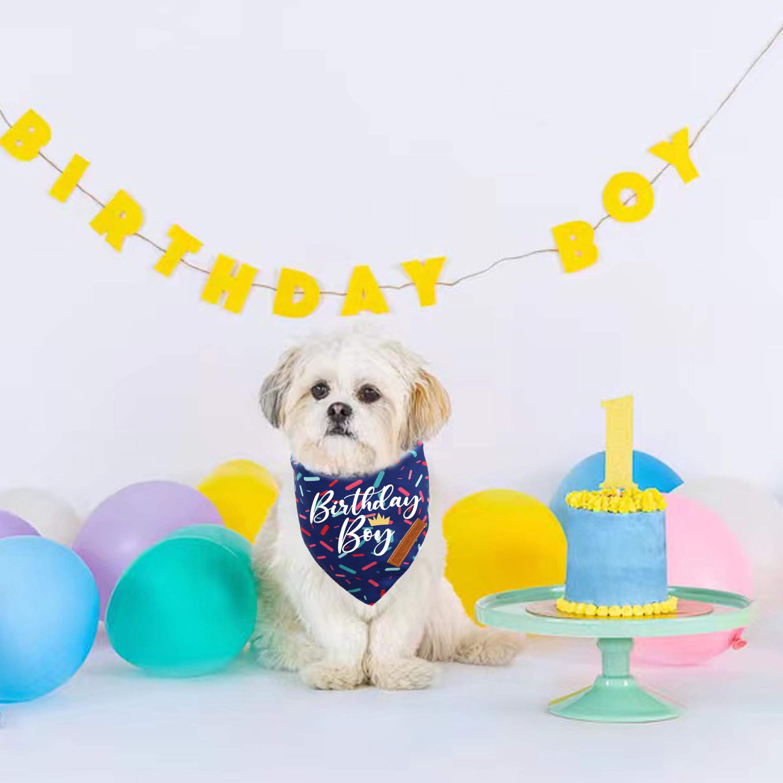 Ensemble bandana anniversaire Realeaf bleu XL, prêt à offrir comme cadeau.