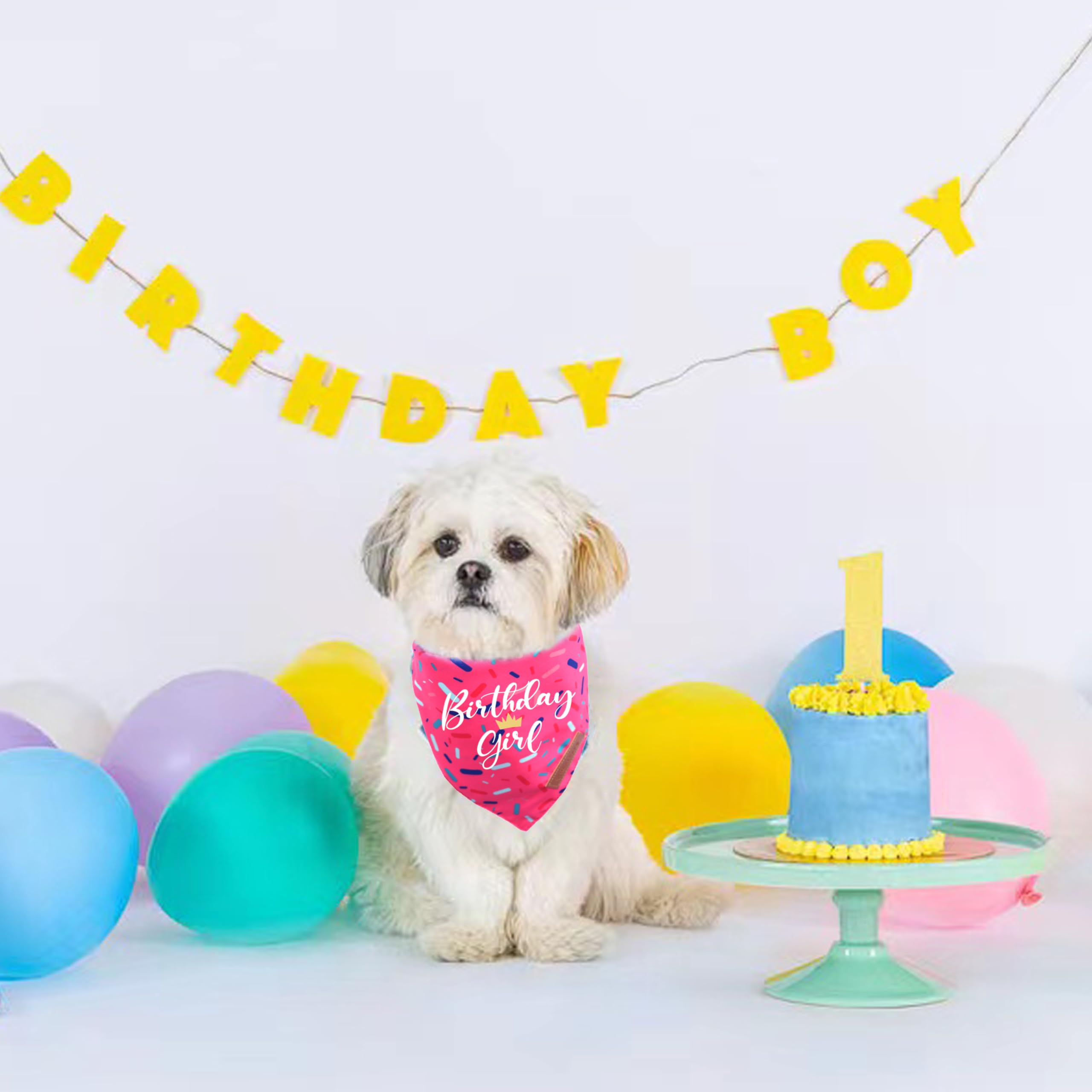 Realeaf bandana anniversaire chien rose, élégant comme accessoire de mode.