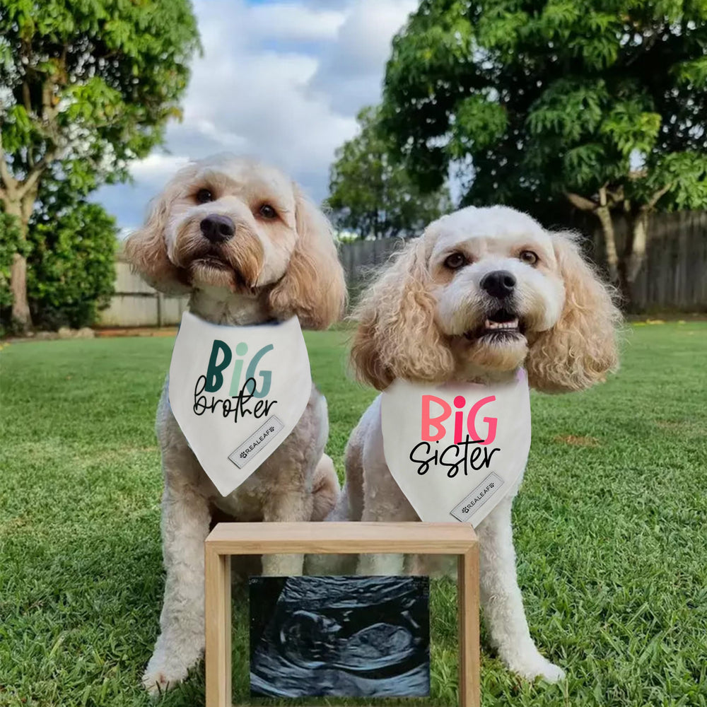 Bandana Realeaf en matière douce et résistante pour chien de grande taille.