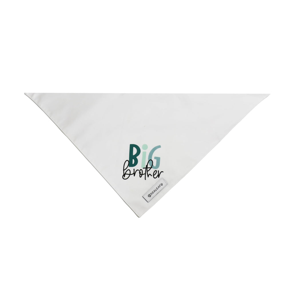Bandana Realeaf chien grande taille, pose pour annonce grossesse.