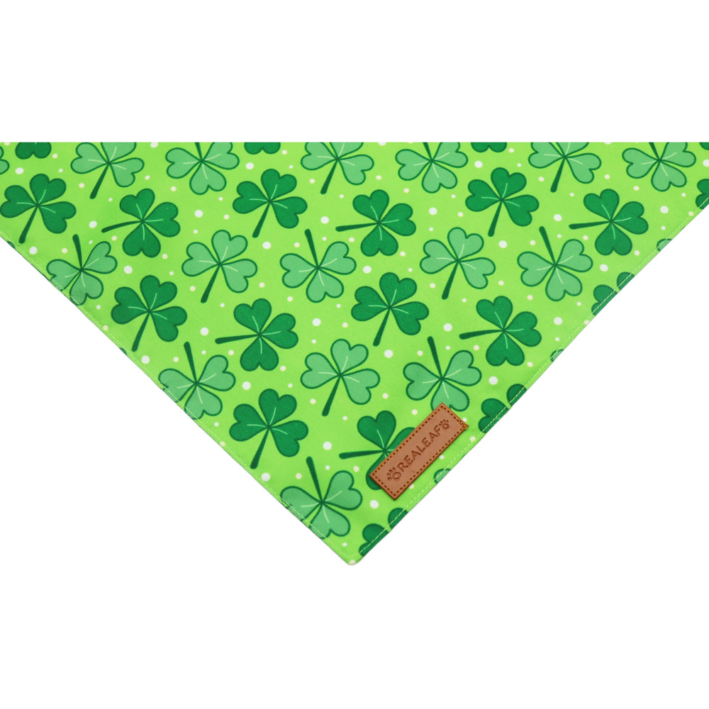 Bandana Realeaf Saint-Patrick petit 12 pouces, ajustement sûr et confortable.