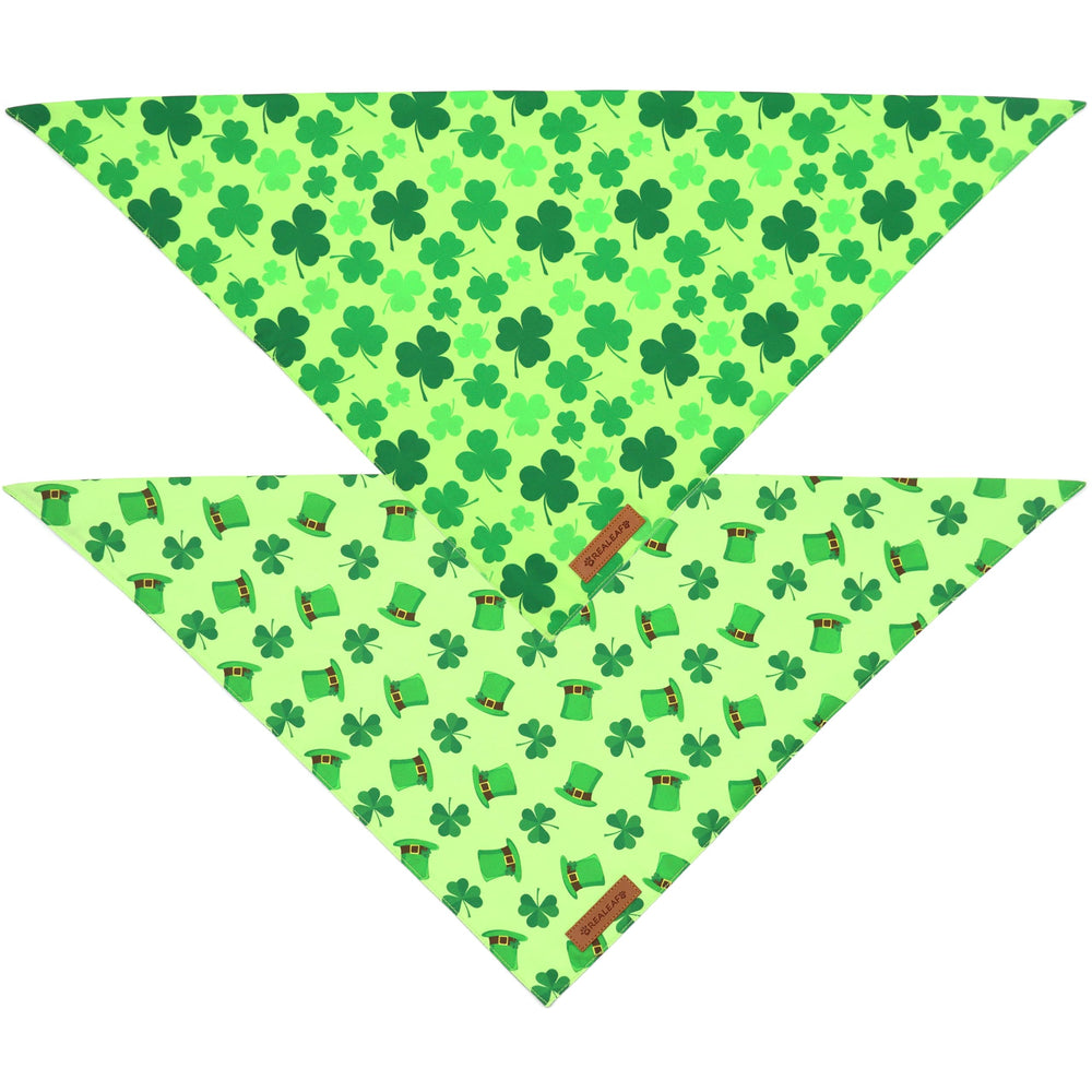 Bandana durable en tissu premium, idéal pour chiens moyens et grands.