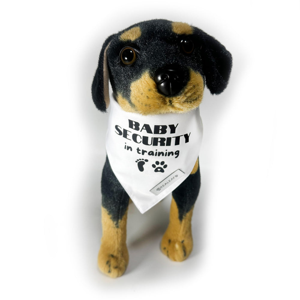 Bandana Realeaf emballage élégant prêt à offrir.