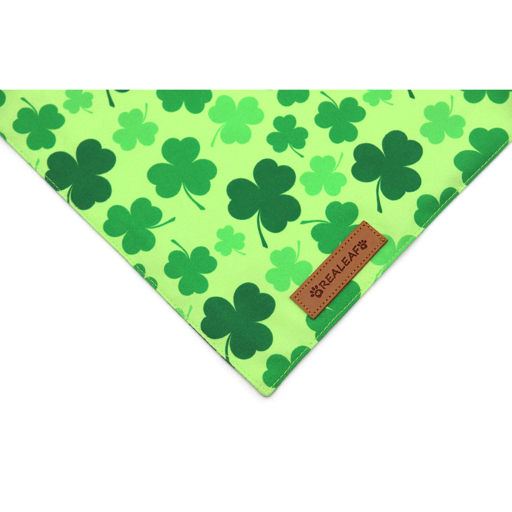 Accessoire festif Saint-Patrick, parfait pour photos et fêtes avec votre chien.
