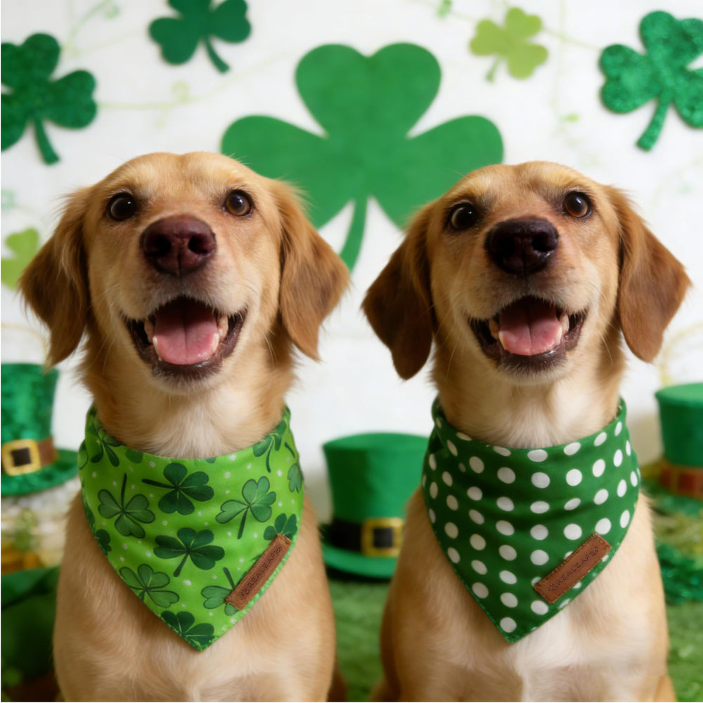 Bandana Realeaf Saint-Patrick trèfle vert, réversible et pratique