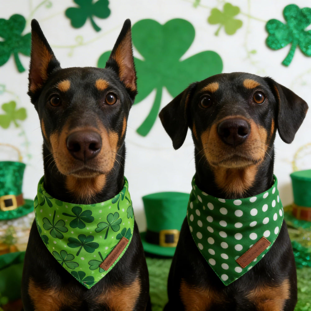 Accessoires festifs Realeaf bandanas chien pour les vacances.