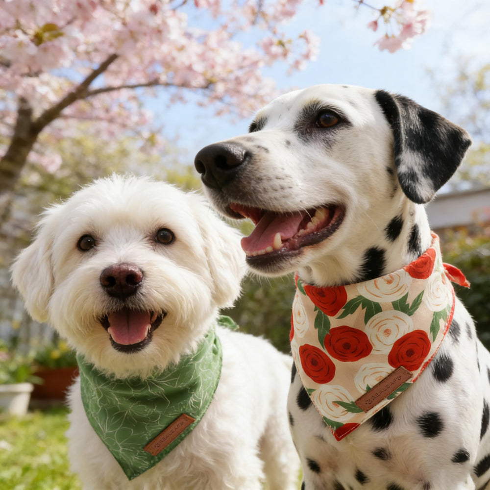 Bandana Realeaf grand format fleuri, facile à nouer et entretenir.