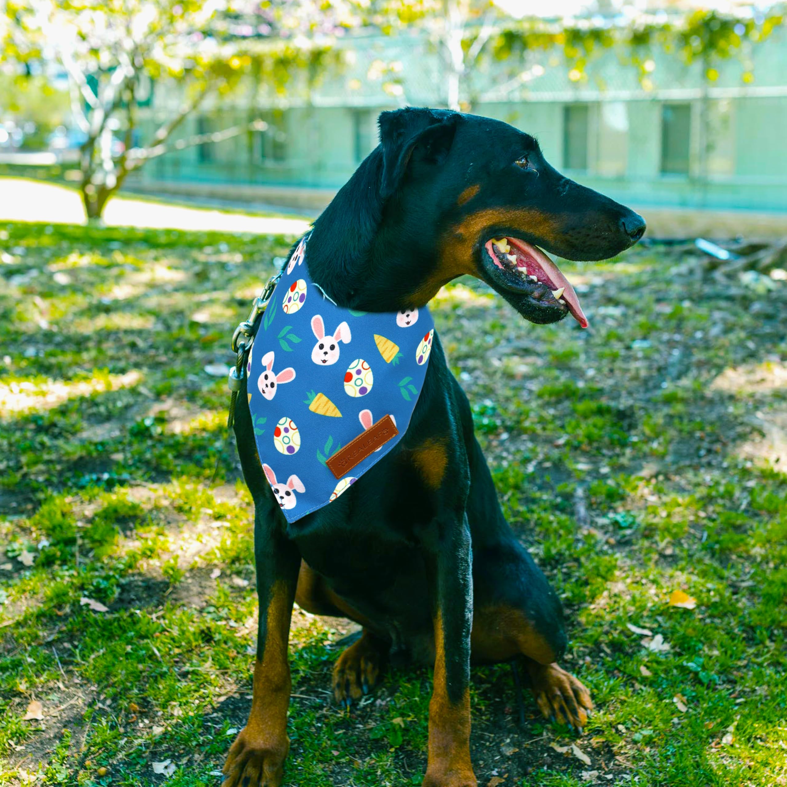 Lot de deux bandanas Realeaf, praticité et variété pour alterner les looks.