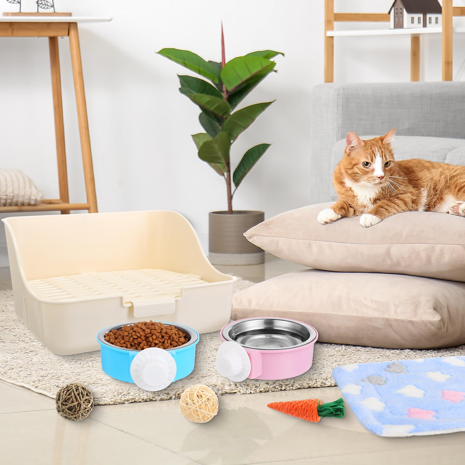 Reallnaive jouet carotte lapin – divertissement coloré et actif