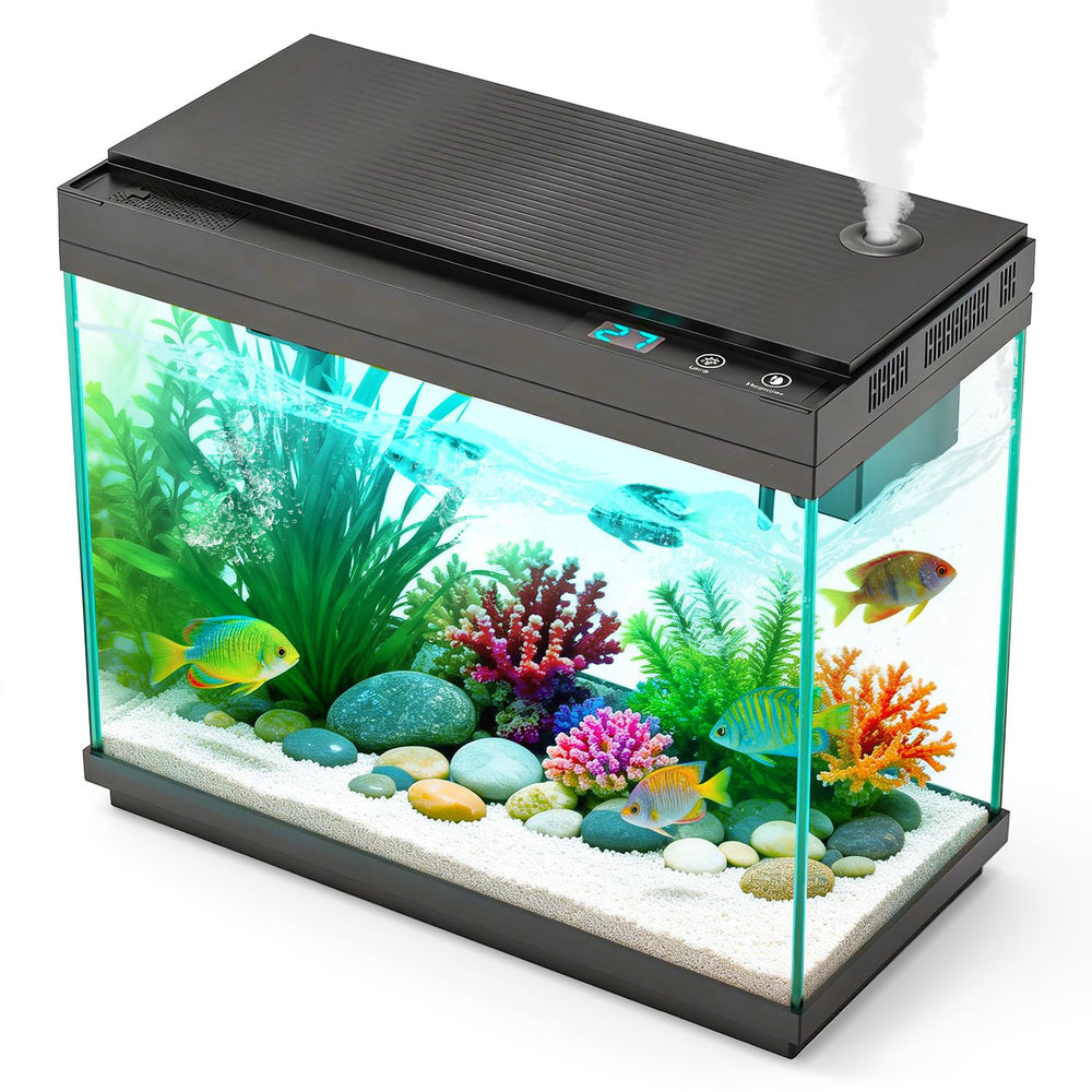 Rechale aquarium intelligent pompe silencieuse en fonctionnement pour observation paisible