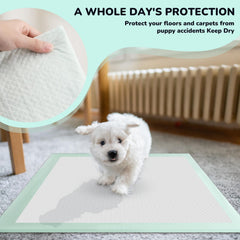 Red Rabbits tapis-pipi 24x24, couches absorbantes assurant une propreté durable.
