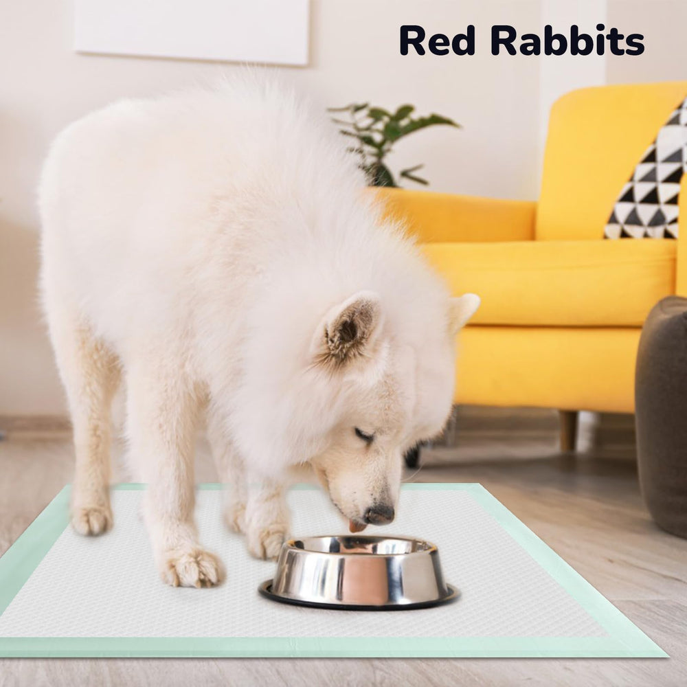 Red Rabbits tapis-pipi paquet 80 pièces, pratique et économique.