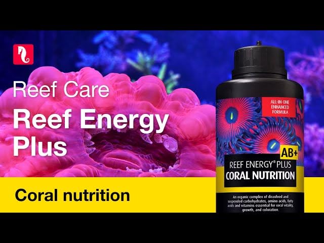 Formulation stable sans réfrigération Red Sea Reef Energy Plus.