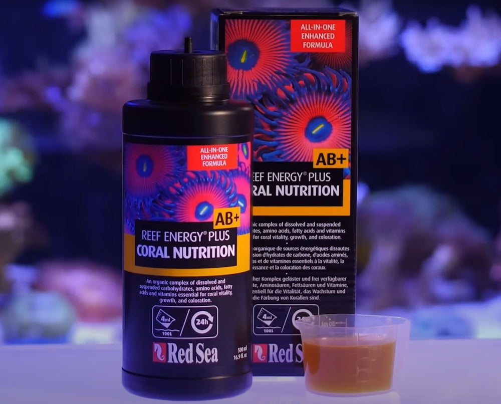 Red Sea Reef Energy Plus – complexe-organique: absorption rapide des nutriments par les coraux.