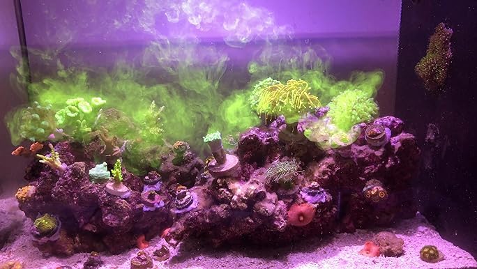 Stockage sûr et durable de Reef Energy Plus pour l’approvisionnement hebdomadaire.