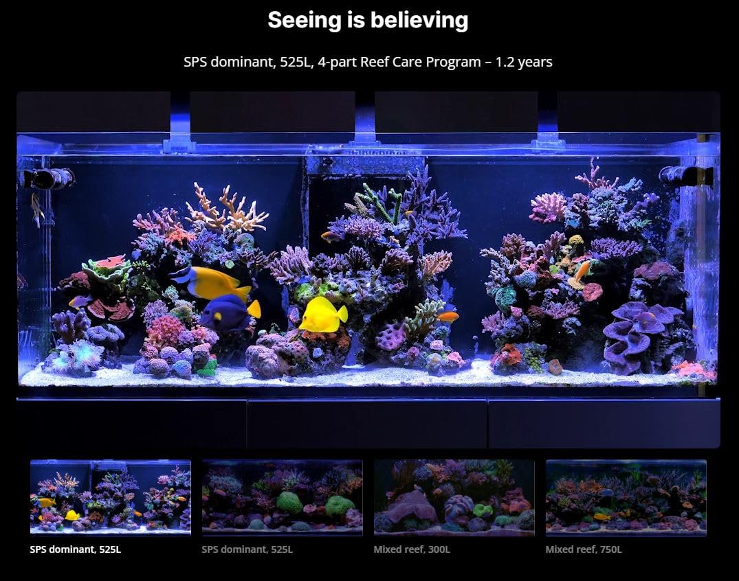 Red Sea Small RCP – Installation guidée rapide et pratique.