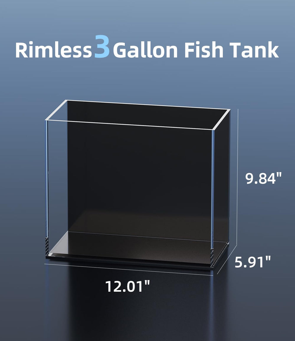 RED TAIL FISH, joints silicone 5 mm lisses pour une installation durable.