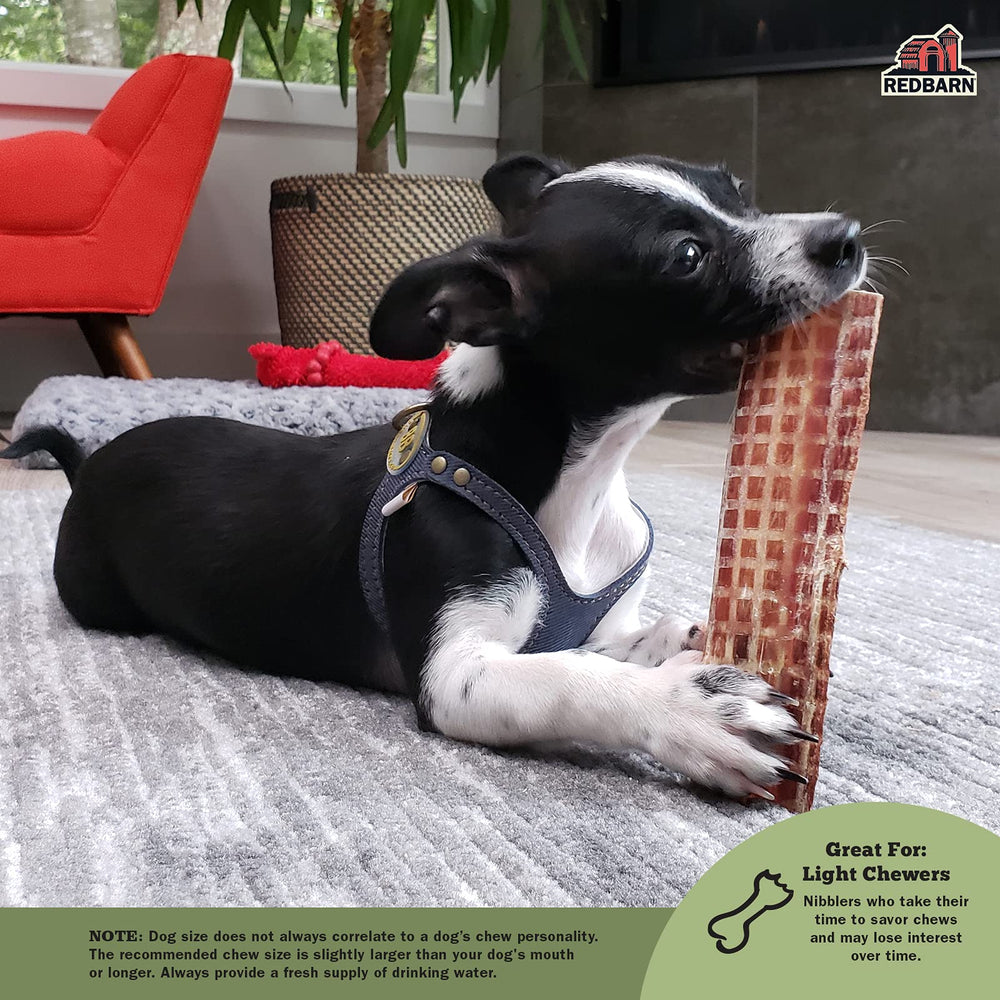 Redbarn Barky Bark au boeuf: riche en protéines et faible en matières grasses.