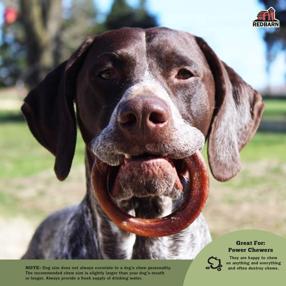 Redbarn Bully Rings – anneaux naturels sans additifs pour chien.