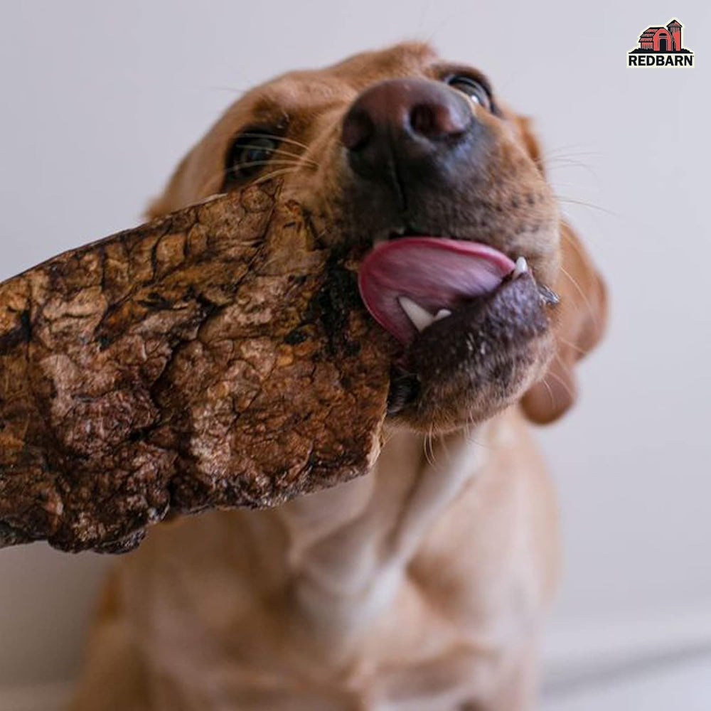 Redbarn Choppers Poumon de Boeuf – protéine élevée pour chiens actifs.