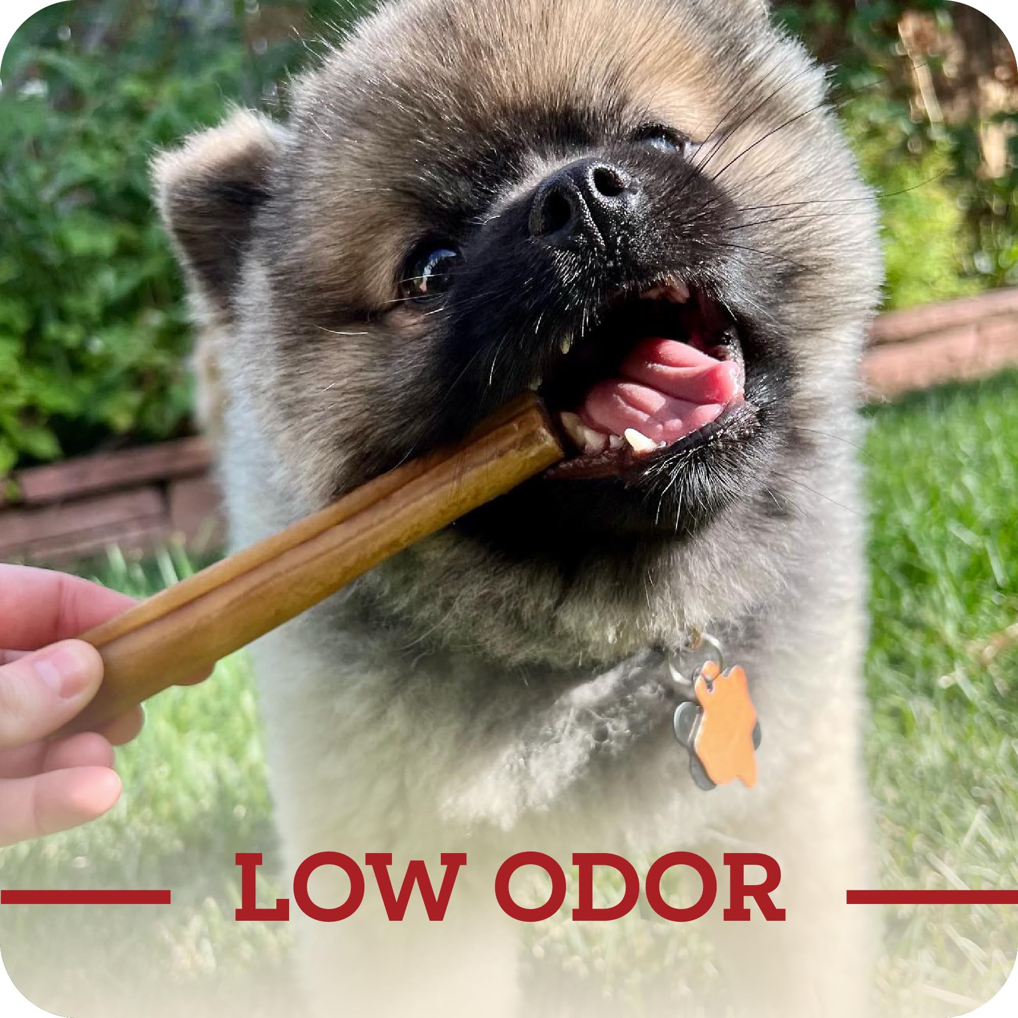 Goût savoureux et texture attrayante pour chien - Redbarn Collagen Sticks.
