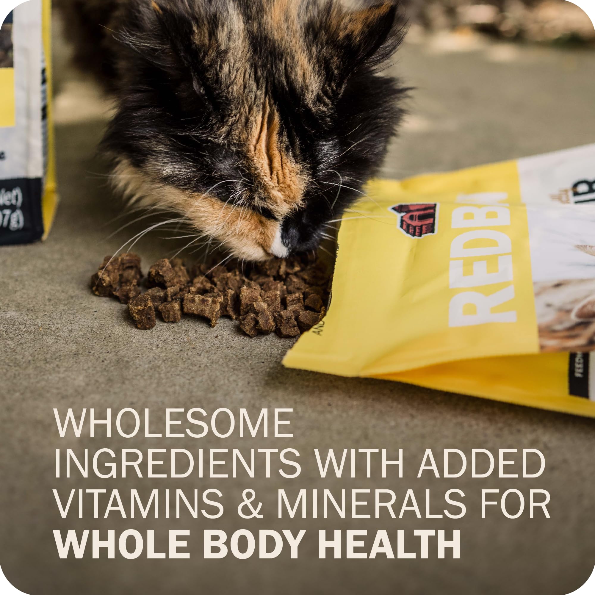 Soutien peau et pelage grâce à Redbarn Powerfood pour chats