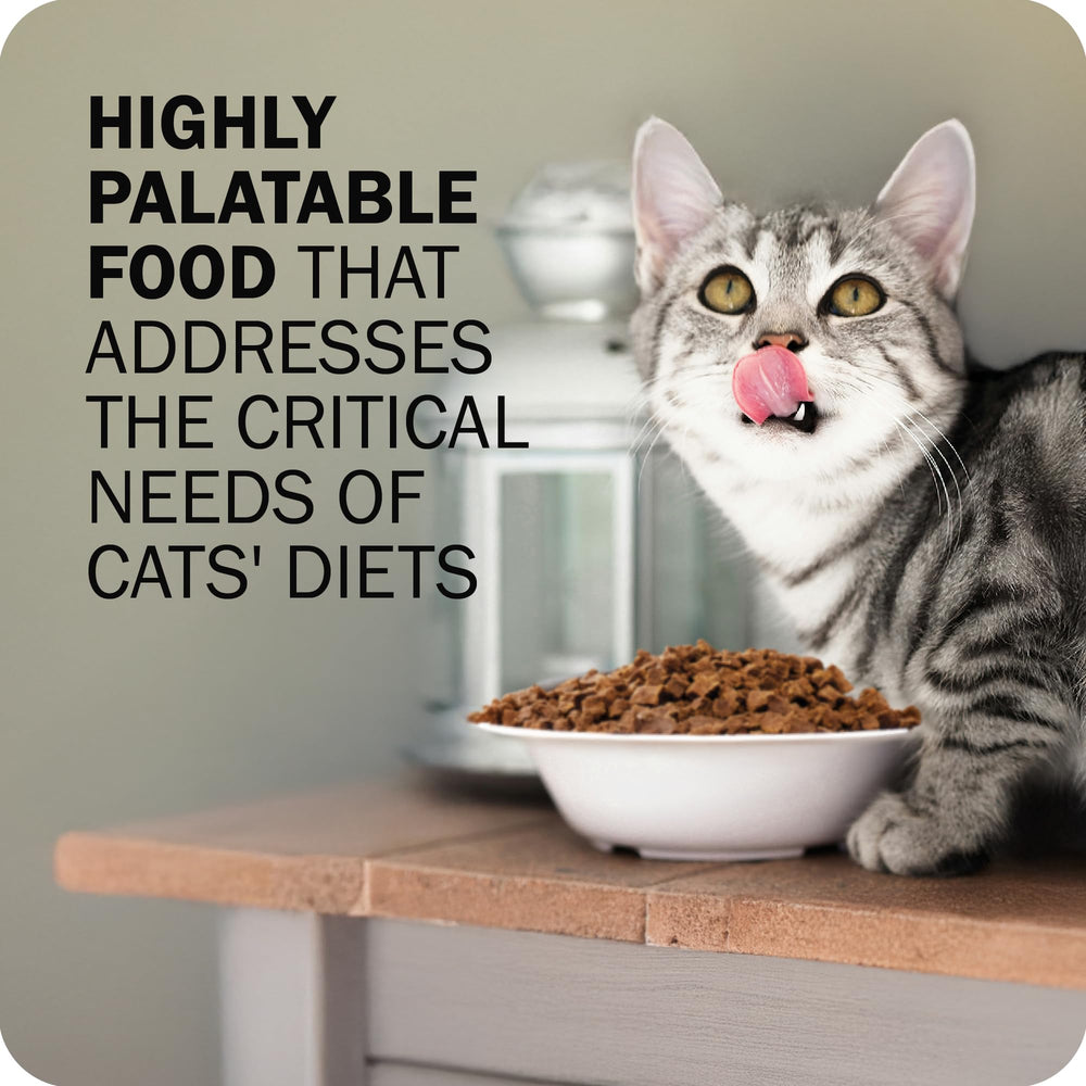 Texture croquante de Redbarn Powerfood qui attire les chats difficiles