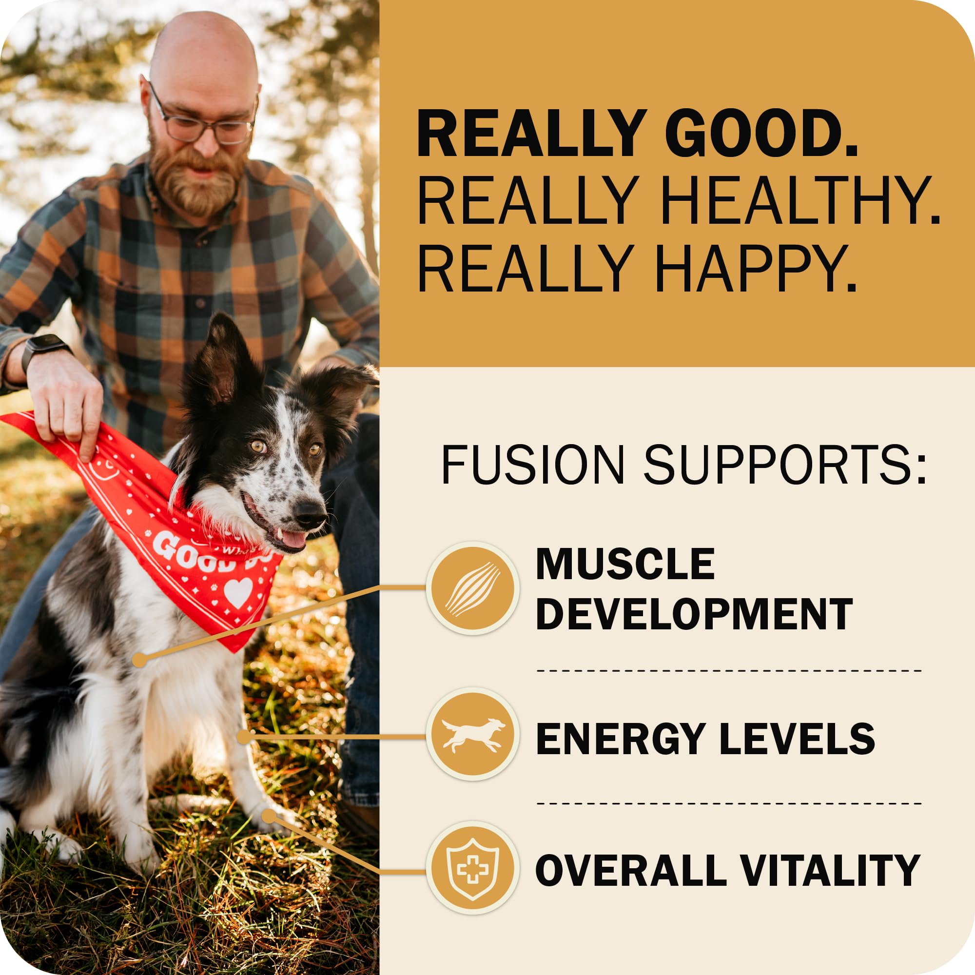 Redbarn Powerfood Fusion – croquettes chien zoom, texture croquante et goût riche