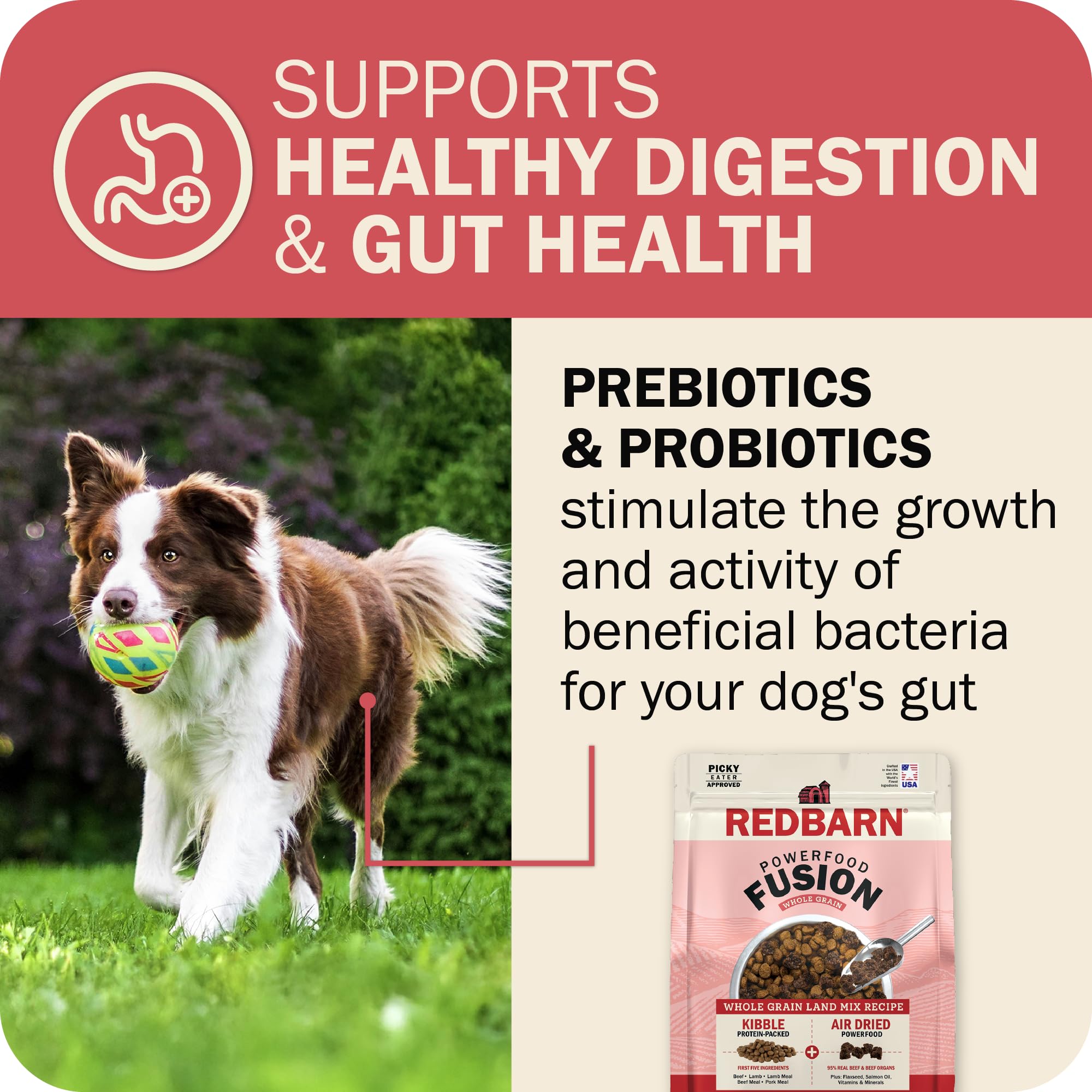 Redbarn Powerfood Fusion oméga essentiels pour la peau et le cœur, dans les croquettes.