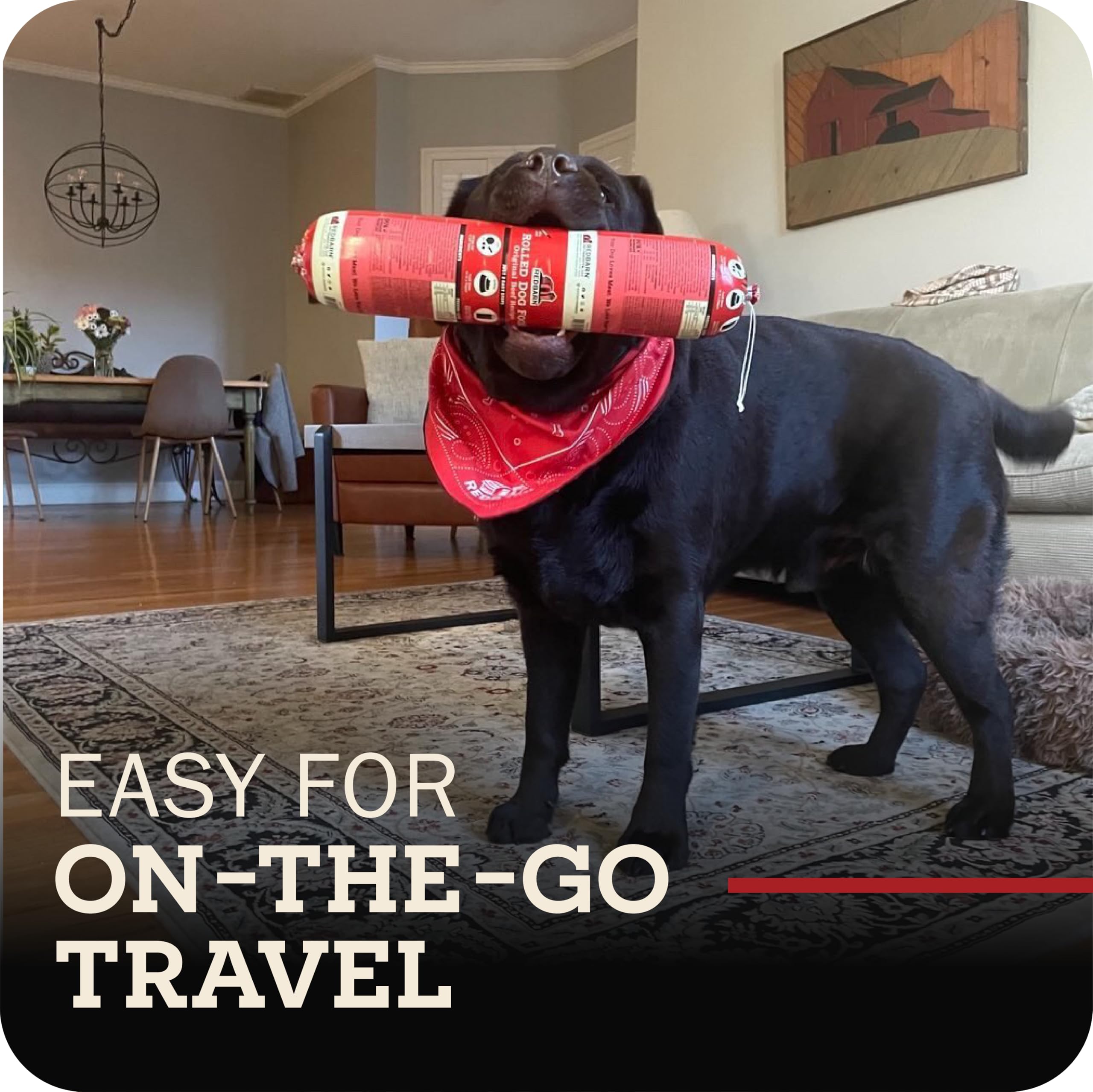 Rouleau Redbarn boeuf sans grains peau et poil sains.